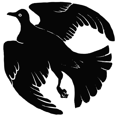 鸟类在梦中象征什么？
