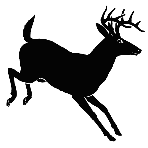 What do deer symbolize in dreams?